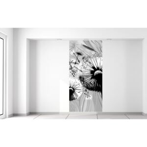 Gario Fototapeta Krásne čiernobiele púpavy Rozmery (š x v): 95 x 205 cm, Materiál: Latexová (lepidlo zadarmo)