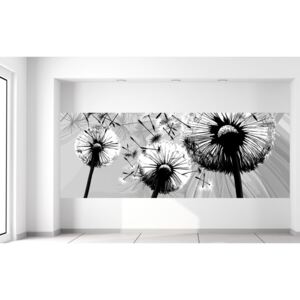 Gario Fototapeta Krásne čiernobiele púpavy Materiál: Latexová (lepidlo zadarmo), Veľkosť: 268 x 100 cm