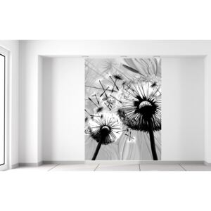 Gario Fototapeta Krásne čiernobiele púpavy Rozmery (š x v): 150 x 200 cm, Materiál: Latexová (lepidlo zadarmo)