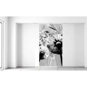 Gario Fototapeta Krásne čiernobiele púpavy Rozmery (š x v): 110 x 200 cm, Materiál: Latexová (lepidlo zadarmo)