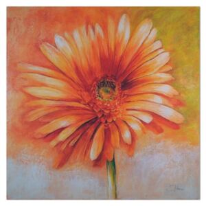 Obraz CARO - A Large Orange Flower 30x30 cm