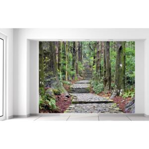 Gario Fototapeta Cestička na Wakayama v Japonsku Rozmery (š x v): 200 x 150 cm, Materiál: Latexová (lepidlo zadarmo)