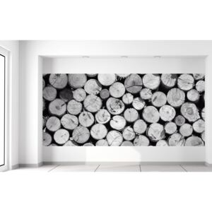 Gario Fototapeta Bezfarebná kopa dreva Rozmery (š x v): 536 x 240 cm, Materiál: Latexová (lepidlo zadarmo)