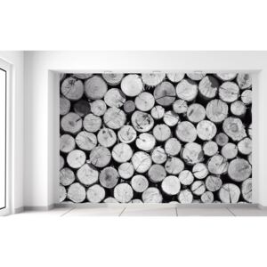 Gario Fototapeta Bezfarebná kopa dreva Rozmery (š x v): 200 x 135 cm, Materiál: Latexová (lepidlo zadarmo)