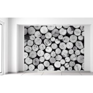 Gario Fototapeta Bezfarebná kopa dreva Rozmery (š x v): 200 x 150 cm, Materiál: Latexová (lepidlo zadarmo)