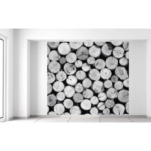 Gario Fototapeta Bezfarebná kopa dreva Materiál: Samolepiaca, Veľkosť: 268 x 240 cm