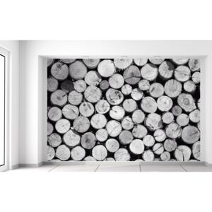 Gario Fototapeta Bezfarebná kopa dreva Rozmery (š x v): 400 x 268 cm, Materiál: Latexová (lepidlo zadarmo)
