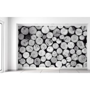 Gario Fototapeta Bezfarebná kopa dreva Rozmery (š x v): 412 x 248 cm, Materiál: Latexová (lepidlo zadarmo)