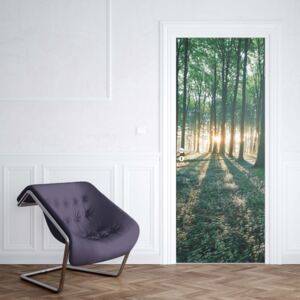GLIX Fototapeta na dvere - Forest Landscape Green Light