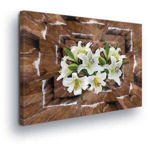 GLIX Obraz na plátne - Brown Swan with Flowers 80x80 cm
