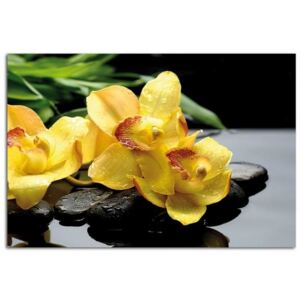 Obraz CARO - Yellow Orchids 50x40 cm