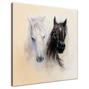 Obraz na plátne Black and White Horses 30x30cm 2502A_1AI