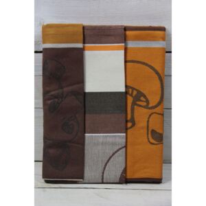 Kuchynská utierka z egyptskej bavlny 3 ks (50x70 cm) VZOR 4 - hnedo-oranžová