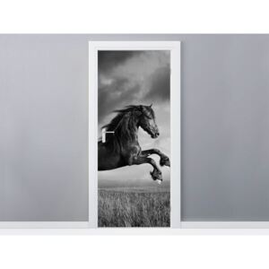 Gario Samolepiaca fólia na dvere Tajomný čierny kôň 95x205cm