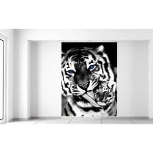 Gario Fototapeta Čiernobiely tiger a tigrík 150x200cm Materiál: Latexová (lepidlo zadarmo)
