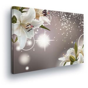 Obraz na plátne - White Flowers with Stars 100x75 cm