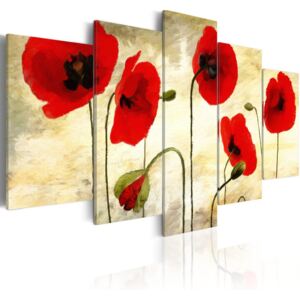 Obraz na plátne - Dreamy poppies 100x50 cm