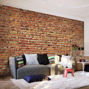Fototapeta Bimago - Brick Wall No. 2 + lepidlo zadarmo 350x245 cm