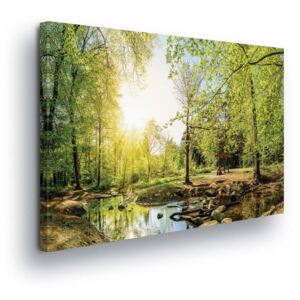 Obraz na plátne - Lesní Potok 4 x 30x80 cm