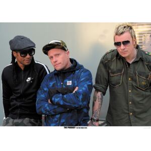 Plagát, Obraz - The Prodigy - Backstage at T In The Park festival, Scotland July 2015, (59.4 x 84.1 cm)