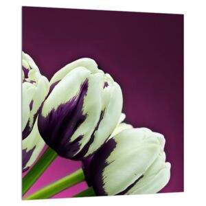 Obraz tulipánov (30x30 cm)