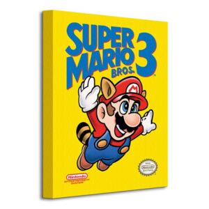 Obraz na plátne Super Mário Bros 3 (NES Cover) 30x40 WDC92383