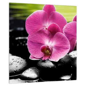 Obraz kvetov orchidee (30x30 cm)