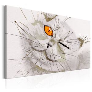 Obraz na plátne Bimago - Grey Cat 90x60 cm