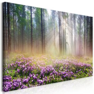 Obraz na plátne Bimago - Purple Meadow (1 Part) Wide 70x35 cm