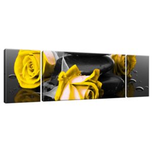 Obraz na plátne Yellow roses and spa 170x50cm 2554A_3G