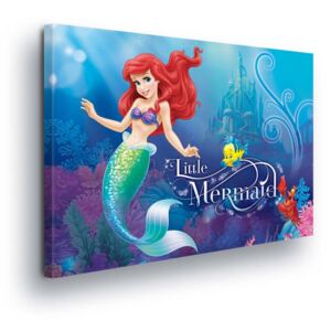 Obraz na plátne - Ariela Disney Little Mermaid III 60x40 cm