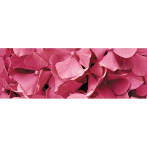 Dekor Ceracasa Velvet ružová Flowers 25x73 cm, lesk DFLOWERS1
