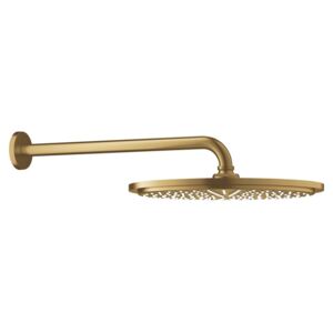 Hlavová sprcha Grohe Rainshower G26066GN0