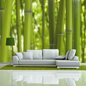 Bimago Fototapeta - Green bamboo 200x154 cm