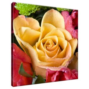 Obraz na plátne Zarosená ruža a kvety 30x30cm 1741A_1AI