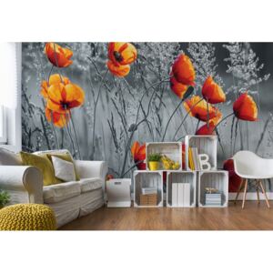 Fototapeta GLIX - Orange Poppies + lepidlo ZADARMO Vliesová tapeta - 208x146 cm
