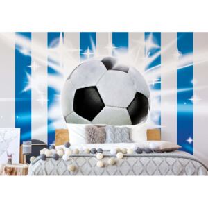 Fototapeta - Football Blue And White Stripes Vliesová tapeta - 254x184 cm