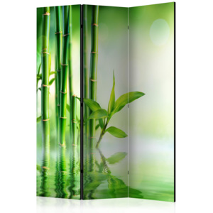 Paraván - Green Bamboo [Room Dividers] 135x172 7-10 dní