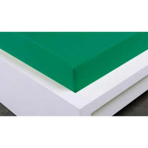 XPOSE ® Jersey prostěradlo Exclusive dvoulůžko - zelenkavá 180x200 cm