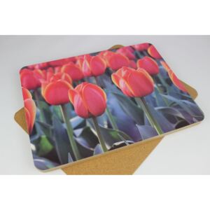 Červené tulipánové tácky 6ks