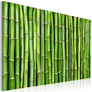 Obraz na plátne - Bambusová stěna 60x40 cm
