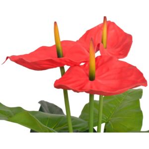 Umelá rastlina, antúria s kvetináčom 90 cm, červená a žltá