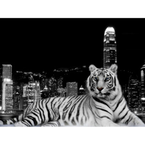 Xdecor Mestský tiger (60 x 45 cm) - Plagát