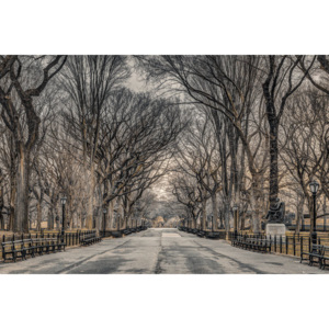 Plagát, Obraz - Assaf Frank - New York Central Park, (91,5 x 61 cm)