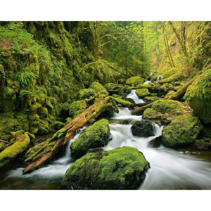 Fototapeta Green Canyon Cascades, (200 x 160 cm)