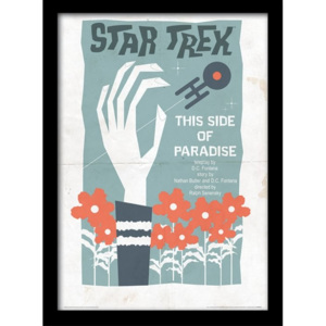 Rámovaný Obraz - Star Trek - This Side Of Paradise