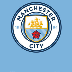 Plagát, Obraz - Manchester City - Crest 15/16, (61 x 91,5 cm)