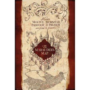 Plagát, Obraz - Harry Potter - Marauder's Map, (61 x 91,5 cm)