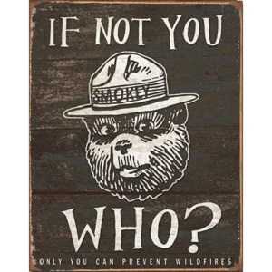 Plechová ceduľa SMOKEY BEAR - If Not You, (31,5 x 40 cm)