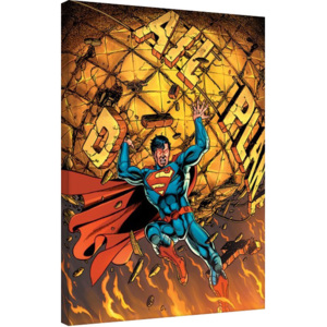 Obraz na plátne Superman - Daily Planet, (60 x 80 cm)